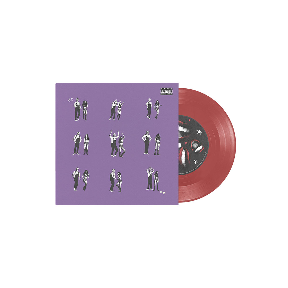 drivers license / burning down the house 7" vinyle