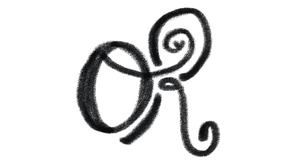 Store Olivia Rodrigo